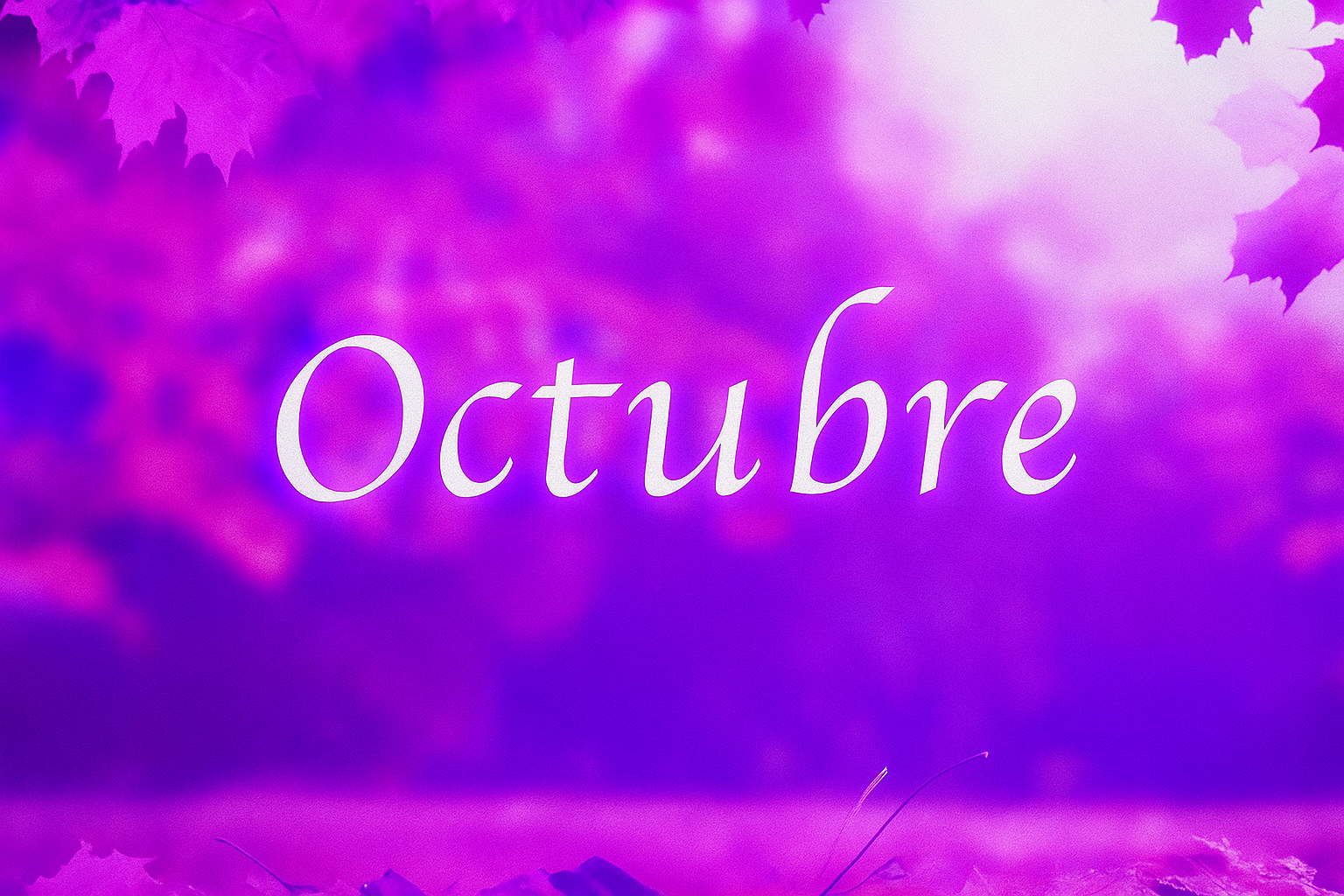 🍂 Octubre y los signos del zodiaco: qué esperar este mes y qué actitud mantener según tu signo